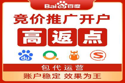 百度推广在电商行业的应用案例分析